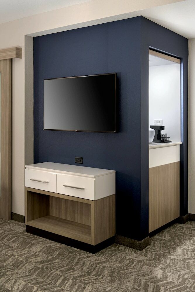 Hotel Springhill Suites By Marriott Tampa Suncoast Parkway