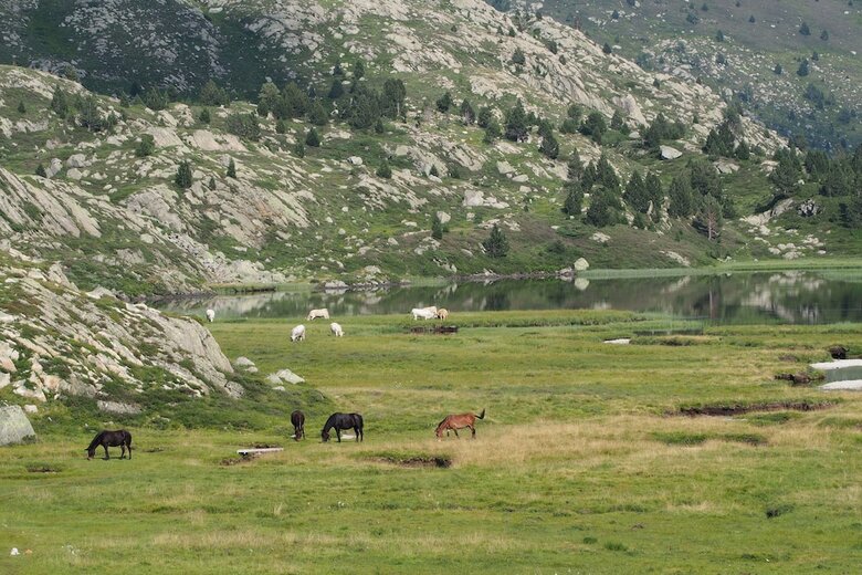 Hostal Refuge Des �tangs De Bassi�s