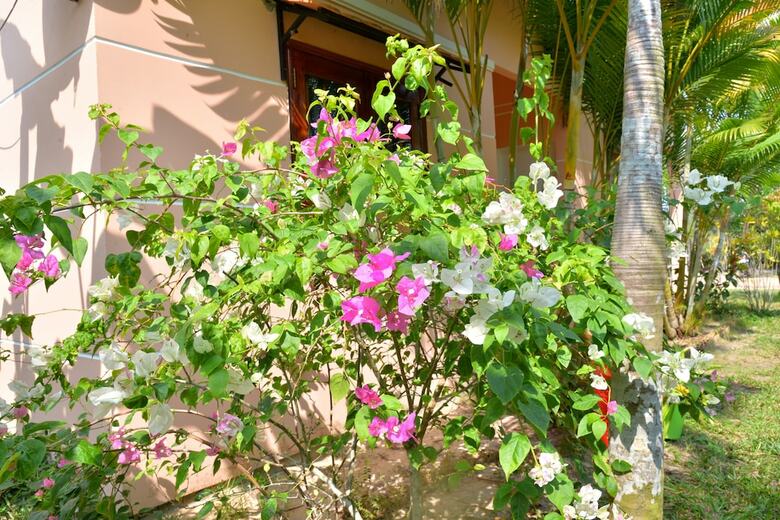 Hotel Bungalow Yen Trinh