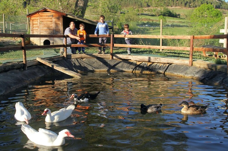 Hotel Cerdanya Ecoresort & Spa