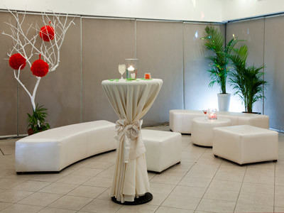 Hotel Viva Villahermosa