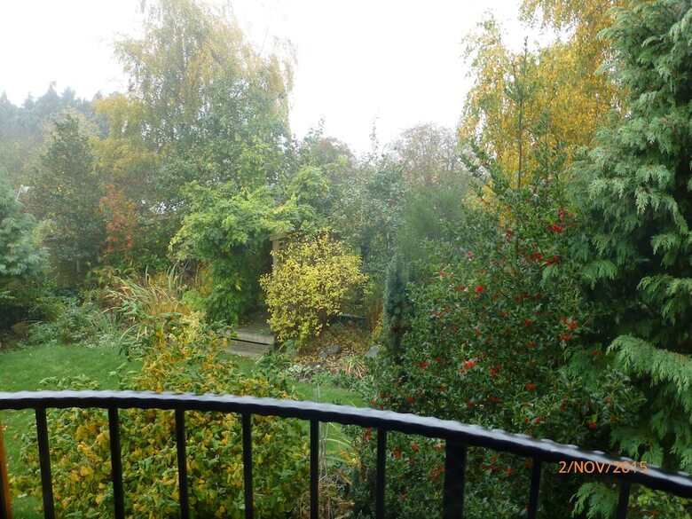 Field View B&B