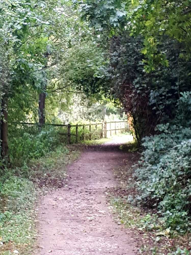 Field View B&B