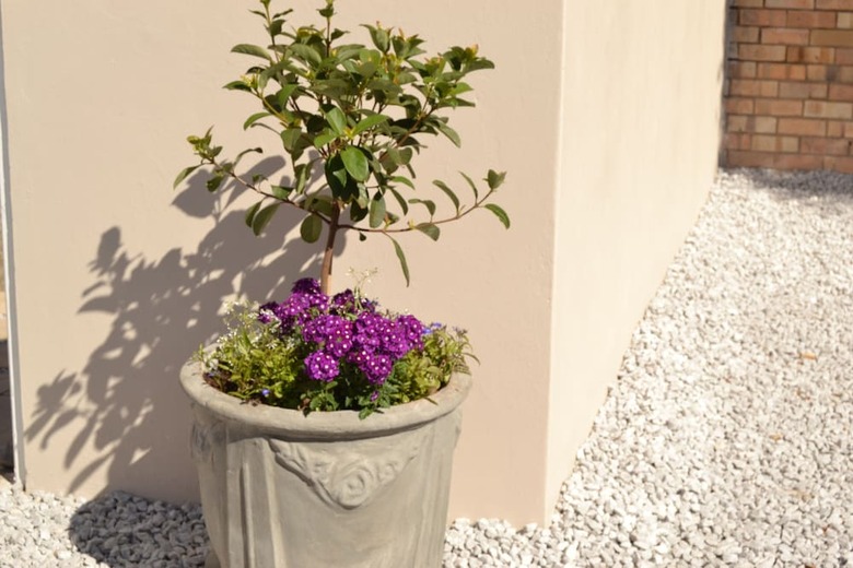 Apartamentos Caulfield Self Catering