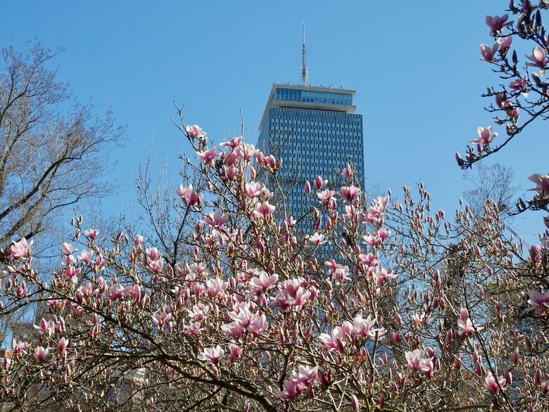 Aparthotel Preferred Two Bedroom Apartment In Back Bay, Boston