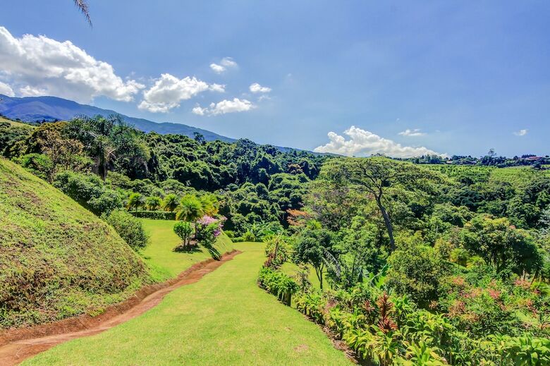 Posada Hotel Mango Valley