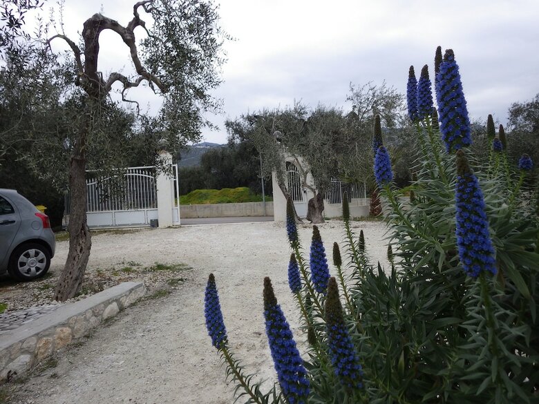 Bed And Breakfast Masseria Liberatore