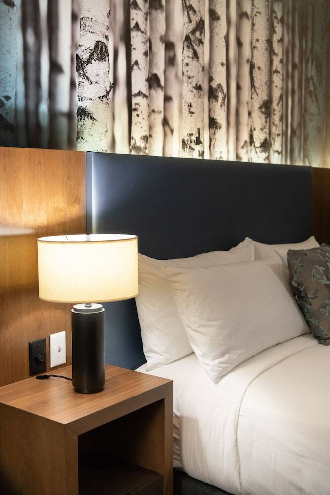 Hotel The Alder At Resorts World Catskills