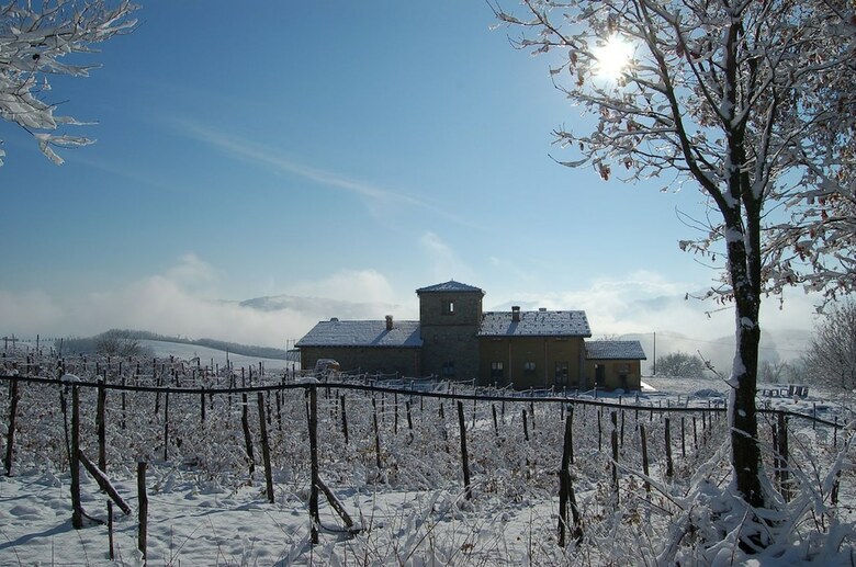 Agroturismo Agriturismo Il Filare