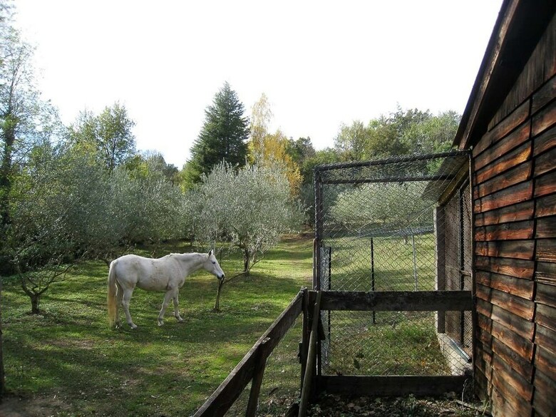 Les G�tes Du Moulin De La Passere