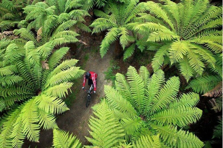 Spencer Lodge