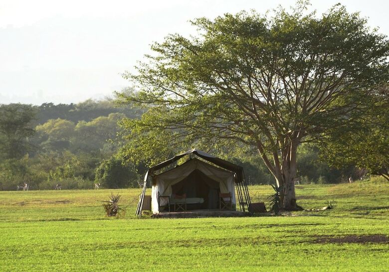 Polo Safari Club
