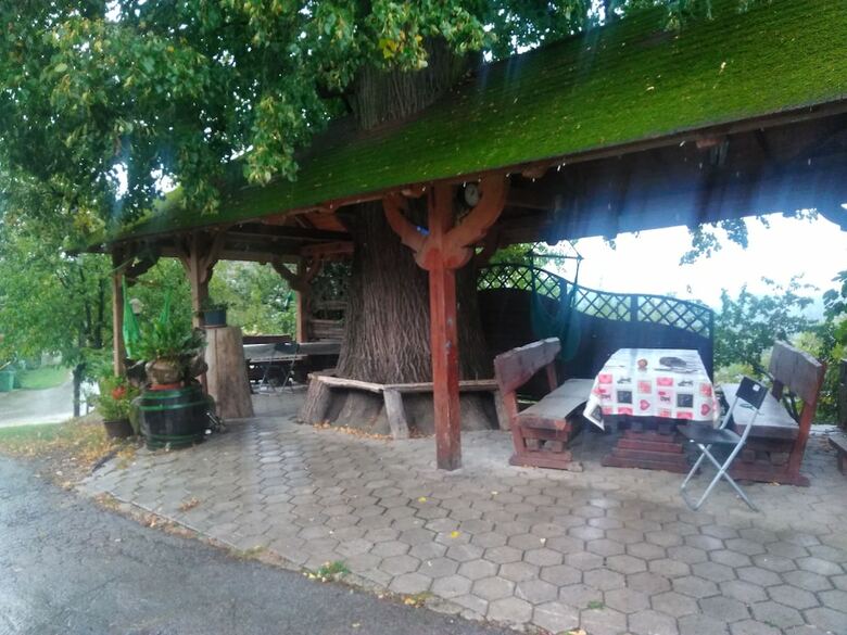 Hotel Country House Slemen?ek