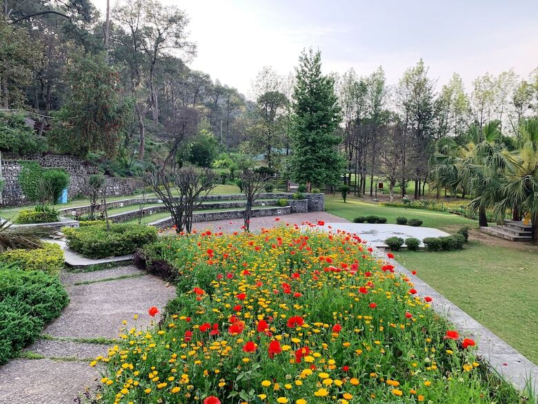 Hotel Country Resort By Ahrpl - Katra