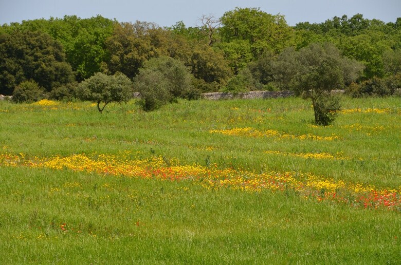 Apartamento Tenuta Deserto
