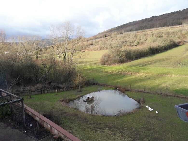 Bed & Breakfast Aux Vignes
