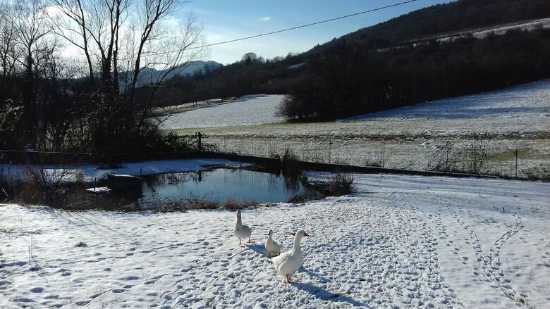Bed & Breakfast Aux Vignes