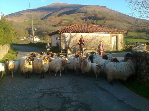 Agroturismo Apartamentos Rurales Kastonea