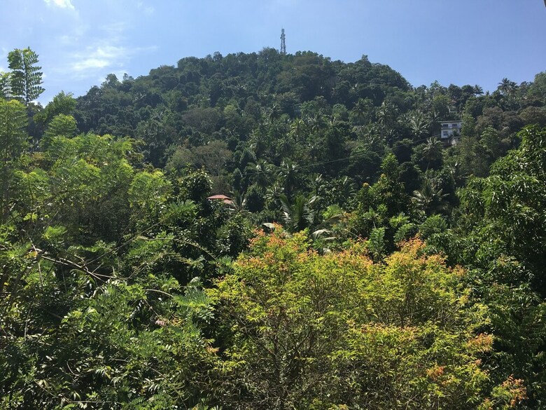 Hotel Kandy Home Stay Villa