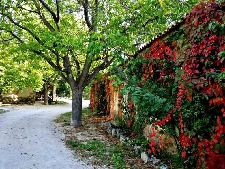 Agroturismo Casas Rurales Los Enebros
