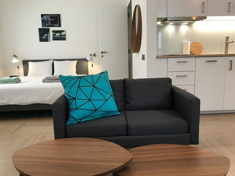 Old Town Apartment Spalena