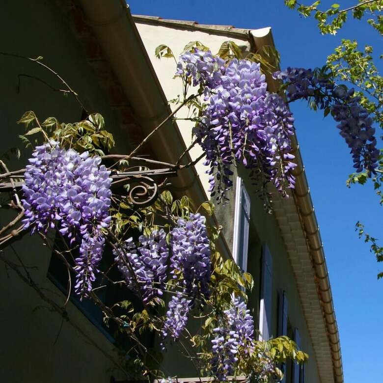 Bed & Breakfast Chambre D'h�tes Couleur Lavande