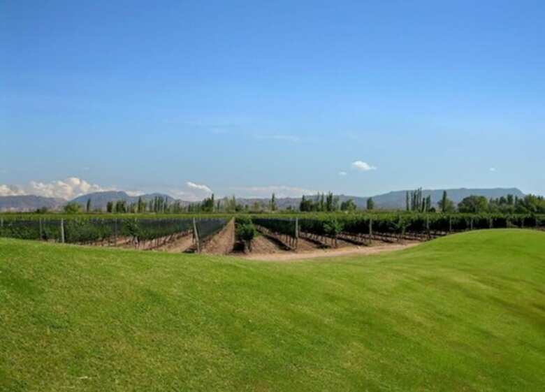 Hotel Algodon Wine Estates & Champions Club