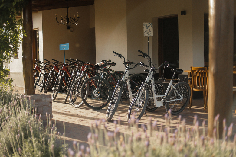 Hotel Algodon Wine Estates & Champions Club