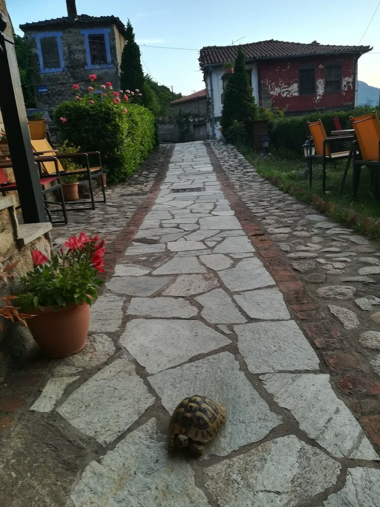 Hotel Archontiko Mesohori