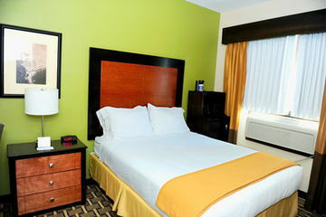 Hotel Holiday Inn Downtown