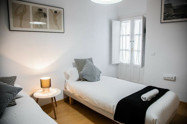 Apartamentos Duplex Cathedral Deluxe With Terrace