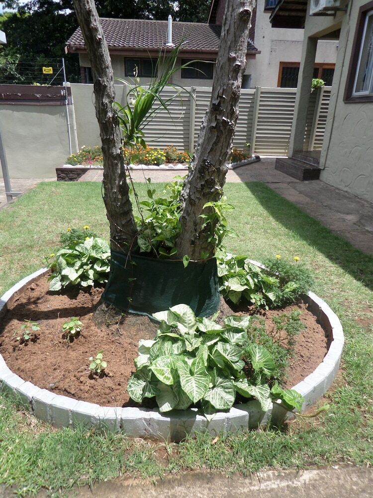 Hotel Iqhayiya Guest House