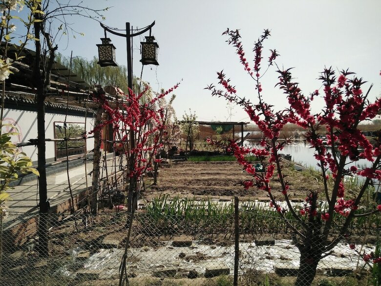 Hotel Baiyangdian Xinzhi Guesthouse