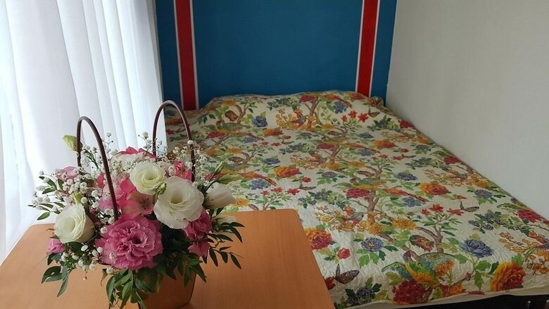 Hotel Guest House Shafran