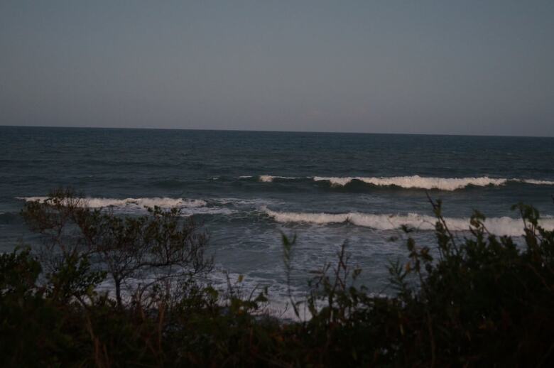 Posada Pangani Cliffs Lodge
