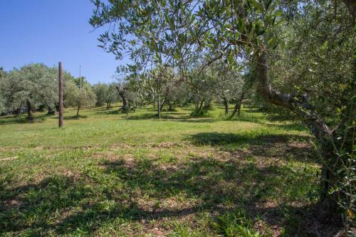 Agroturismo Agriturismo Filettro