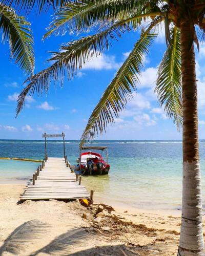 Albergue Hostal Jard�n Mahahual