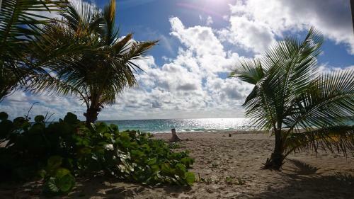 Hotel Almaplena Eco Beach Resort