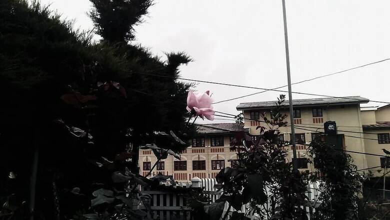 Hotel Maggies Cottage Nuwaraeliya