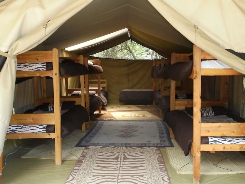 Punda Milias Camp Nakuru