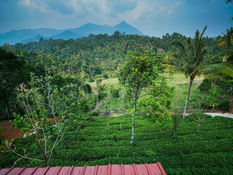 Hotel Oyo 13548 Leaf Garden Cottage