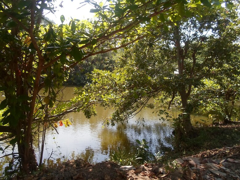 Hotel Amada Lake View Homestay