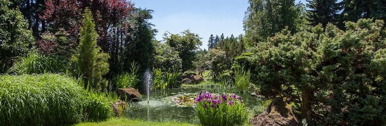 Hotel Wilhelmsh�he