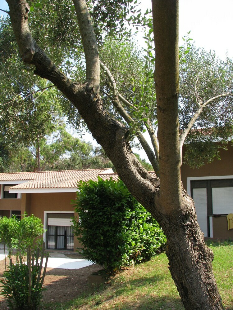 Bed & Breakfast Sweet Home La Conturella