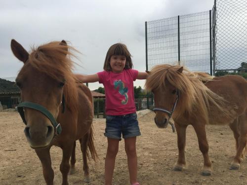 Camping Serra De Prades