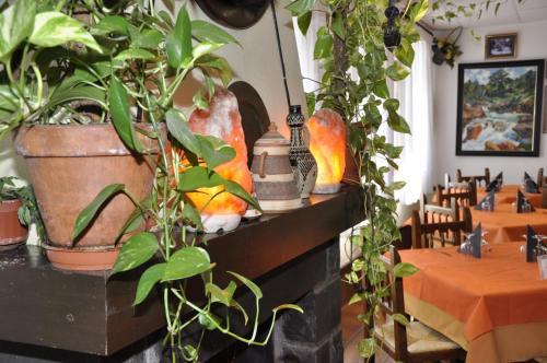Hotel Castillo D'acher