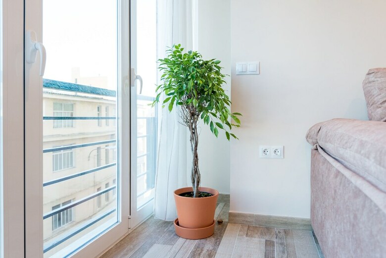 Apartamentos Malagasuite Views Center Moliniillos