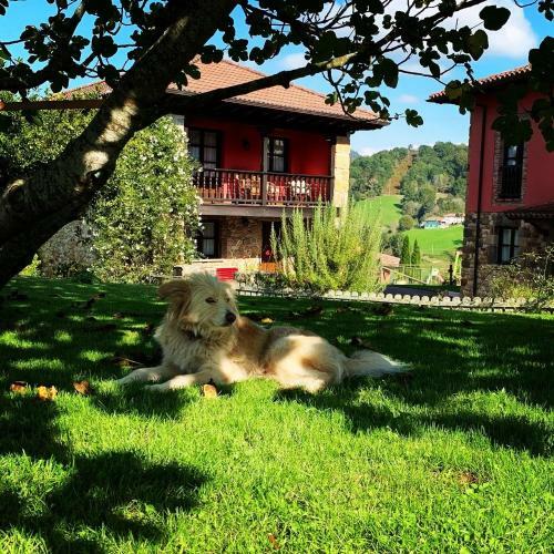 Apartamentos La Quintana De Romillo