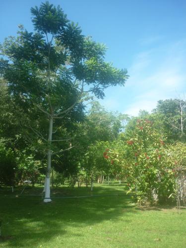 Villas Allen Puerto Viejo