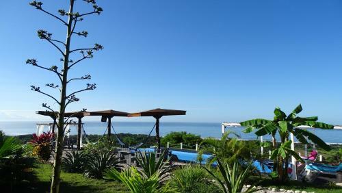 Bed & Breakfast La Colina Pura Vista